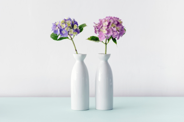 Minimalist Vase